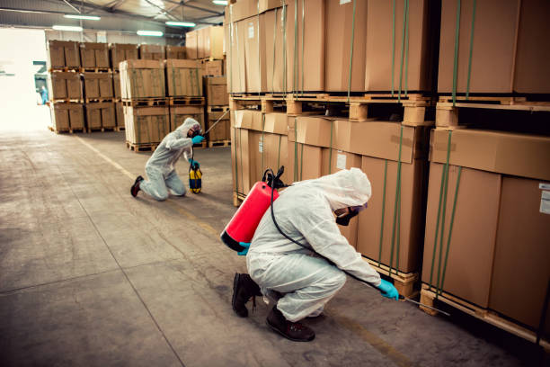 Best Pest Removal Services  in Grayson, KY