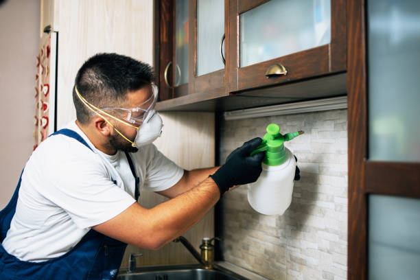 Best Local Pest Control Services  in Grayson, KY