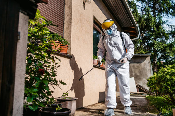 Best Pest Removal Services  in Grayson, KY