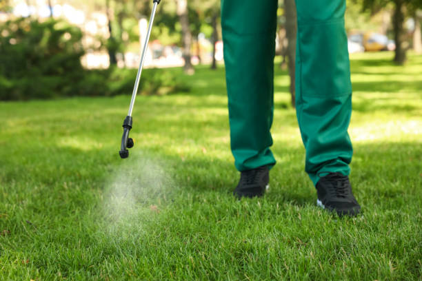 Best Flea Control Services  in Grayson, KY