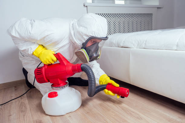 Best Best Pest Control Companies  in Grayson, KY