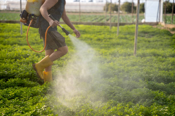 Best Mosquito Control Services  in Grayson, KY