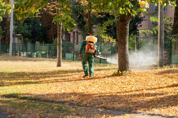 Best Cockroach Control Services  in Grayson, KY