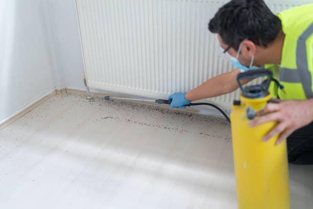 Best Ant Control Services  in Grayson, KY
